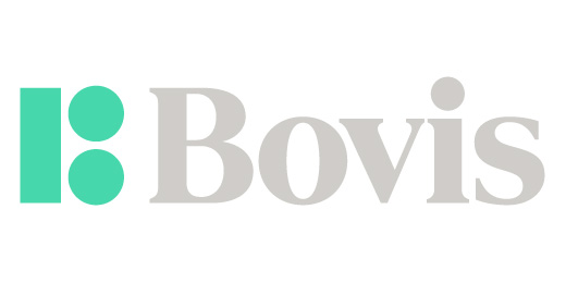 012 Bovis company logo
